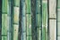 Стеновые панели Alex Turco Bamboo Jungle Green