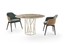Стеклянный стол Giulio Marelli Twig Dining tables