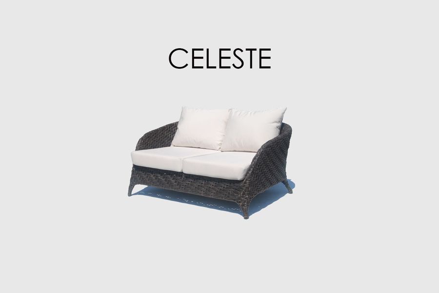 Двухместный диван Skyline Design Celeste Loveseat
