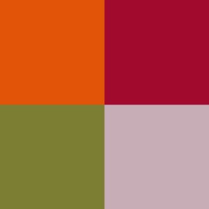 Сочетание 1 | Оранжевый, Красный Коральный, Зелёный, Сиреневый