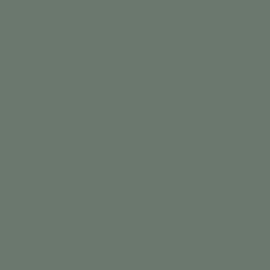 Матовый Зеленый Оливковый