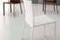 Обеденный стул Cattelan Italia Layla