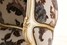 Кресло с высокой спинкой Bedding Charlize