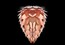 Светильник Umage Conia