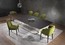 Стеклянный стол Giulio Marelli Twig Dining tables