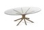 Стеклянный стол в стиле бионика Roche Bobois Mangrove Dining Table