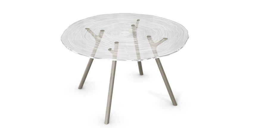 Обеденный столик на ветвях Roche Bobois Plexiwood Dining Table