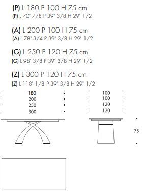 Обеденный стол Tonin Casa Tokyo FS_wood