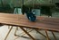 Деревянный стол Tonin Casa Status T8086FSW_wood