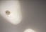 Светильник для потолка Lasvit Sushi