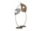 Роскошный светильник Roche Bobois Cirrus