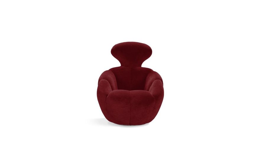 Уютное кресло Roche Bobois Astrea Lounge