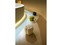 Стильный пуф Roche Bobois Apex