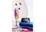 Оригинальный диван Roche Bobois Bombom Intdoor