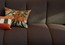 Удобная кушетка Roche Bobois Elegio