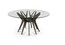 Обеденный стол в эко-стиле Roche Bobois Aster Dining Table