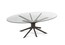 Стеклянный стол в стиле бионика Roche Bobois Mangrove Dining Table