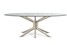 Стеклянный стол в стиле бионика Roche Bobois Mangrove Dining Table