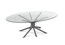 Стеклянный стол в стиле бионика Roche Bobois Mangrove Dining Table