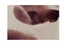 Модный ковер Roche Bobois Aquarelle