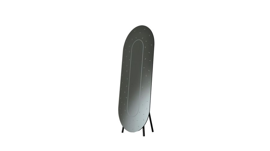 Напольное зеркало Roche Bobois Inciso