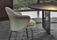Современный стул Minotti Angie "Dining"