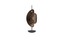 Современная лампа LIU JO Corolle Table Lamp