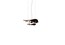 Модный светильник LIU JO Corolle Horizontal Suspension Lamp