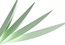 Напольная лампа Roche Bobois Flou