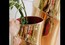 Оригинальная ваза Roche Bobois Bamboo Mood