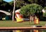 Плетеное кресло Roche Bobois Traveler Corde