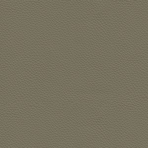 Lino