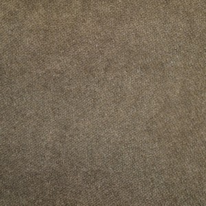 L1552-EGI-COL15