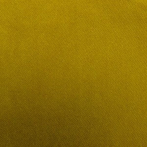 L1552-EGI-COL17