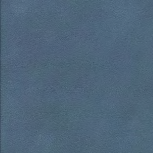 80713 blue